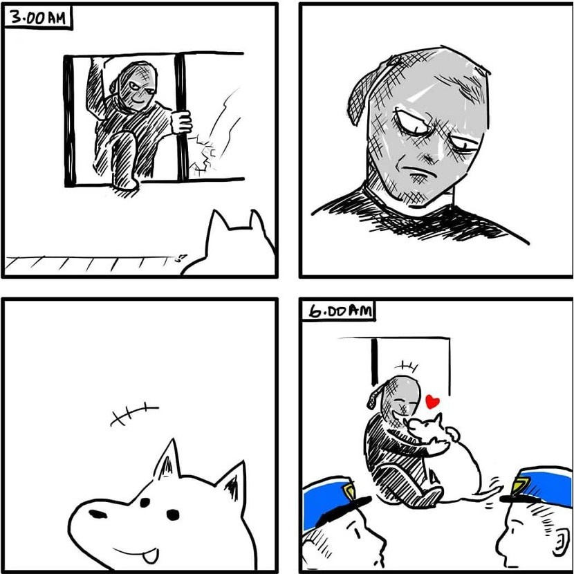 khac biet giua cho va meo anh 7