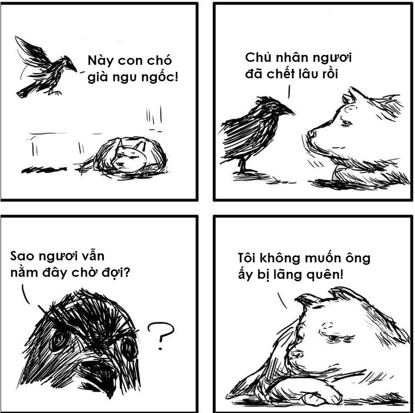 khac biet giua cho va meo anh 4