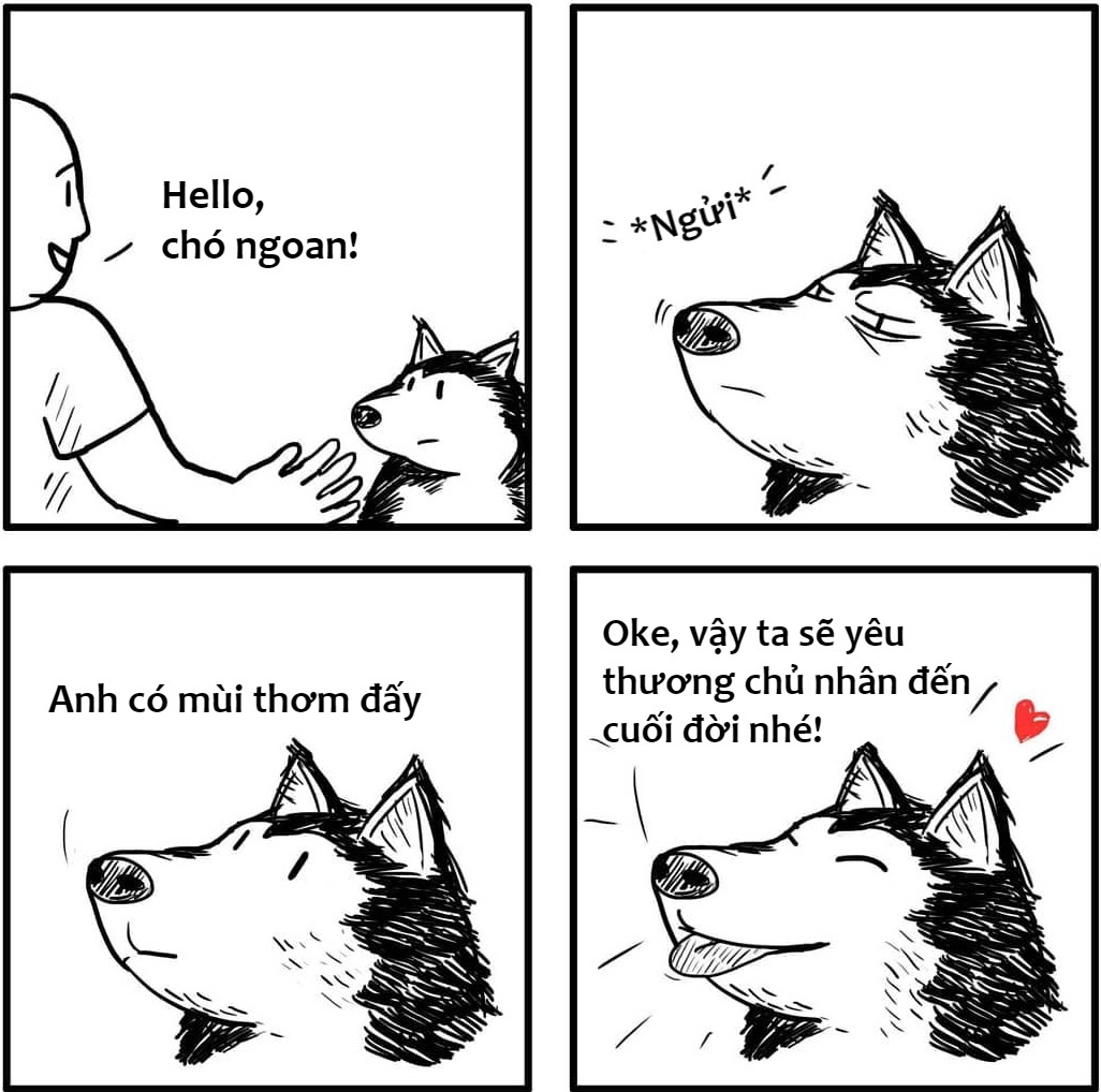 khac biet giua cho va meo anh 1