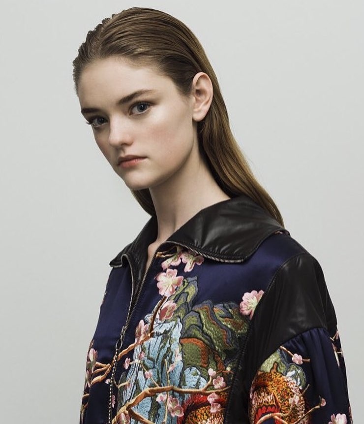 Nguoi mau 19 tuoi cua Victoria Secret anh 6