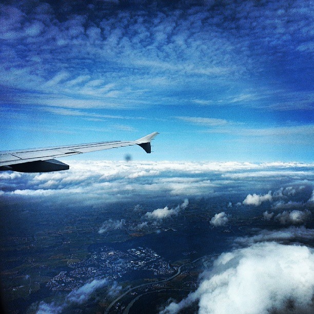 Thu mon dep trai cua doi tuyen bong nuoc Hungary anh 16