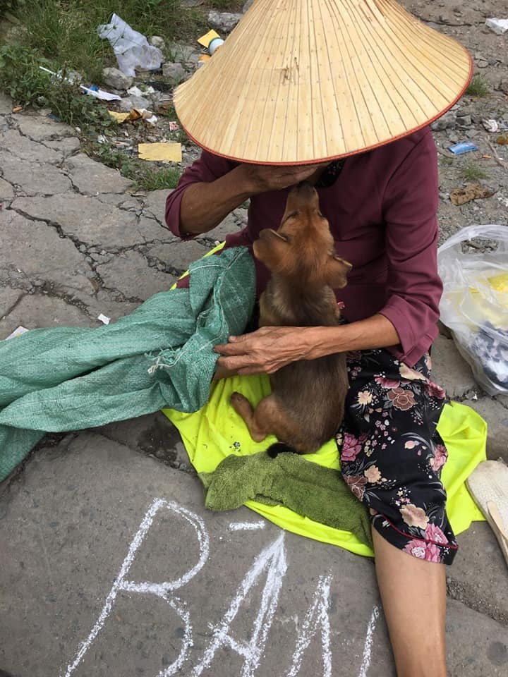 bà cụ nghèo bán chó ảnh 1 ba cu ngheo ban cho anh 1