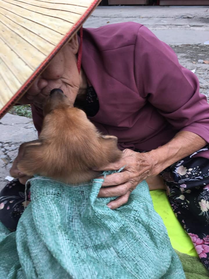 bà cụ nghèo bán chó ảnh 5 ba cu ngheo ban cho anh 5