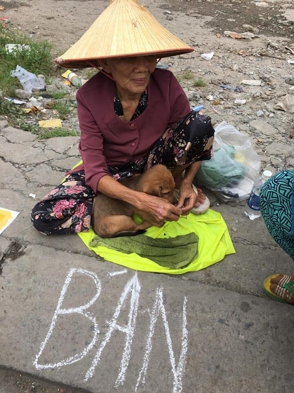 bà cụ nghèo bán chó ảnh 2 ba cu ngheo ban cho anh 2