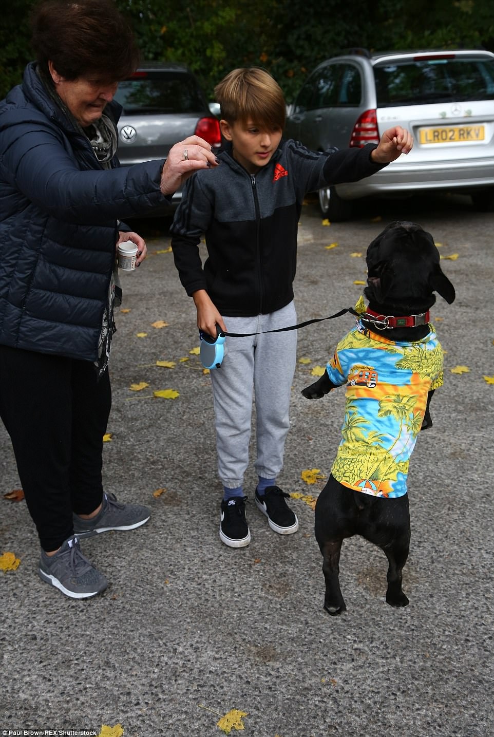 hoa trang halloween cho thu cung anh 14