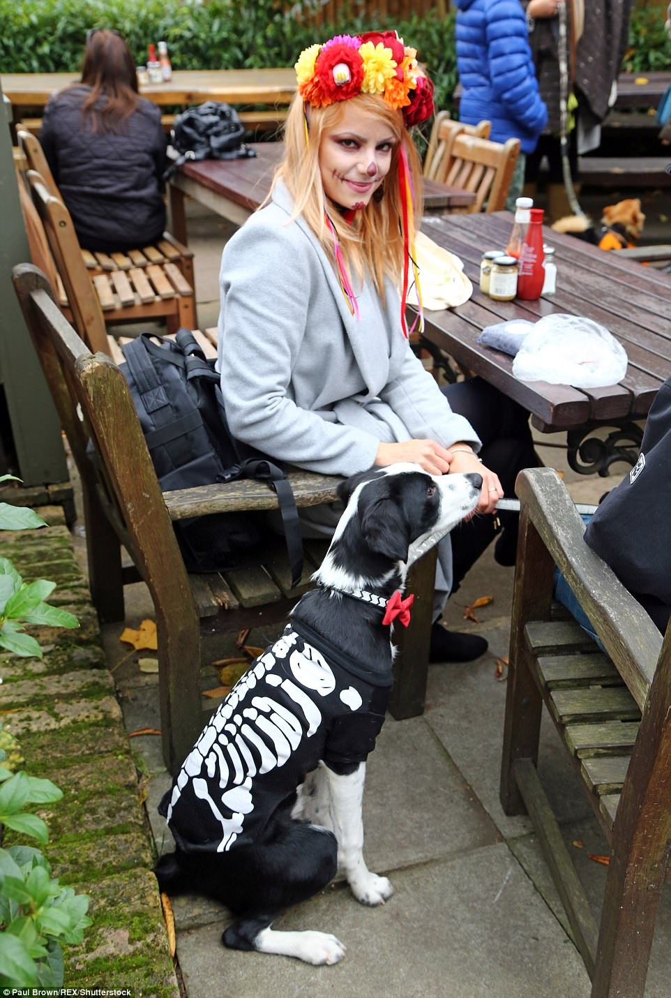 hoa trang halloween cho thu cung anh 13