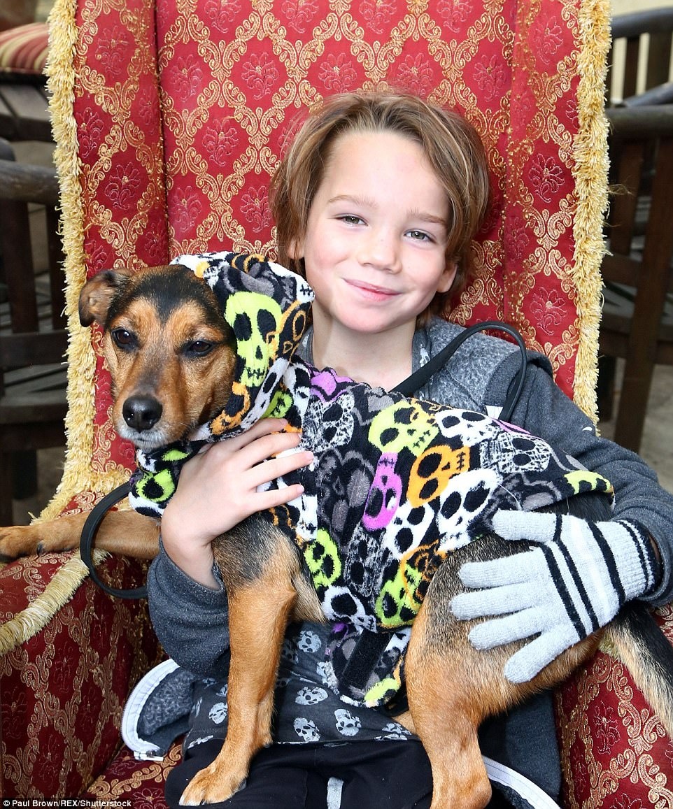 hoa trang halloween cho thu cung anh 23