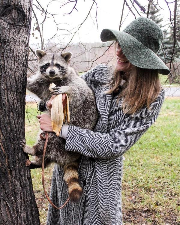 Chú gấu mèo nổi tiếng vì béo ú ảnh 8 Chu gau meo noi tieng vi beo u anh 8