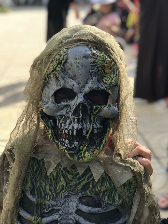 hoa trang Halloween anh 17