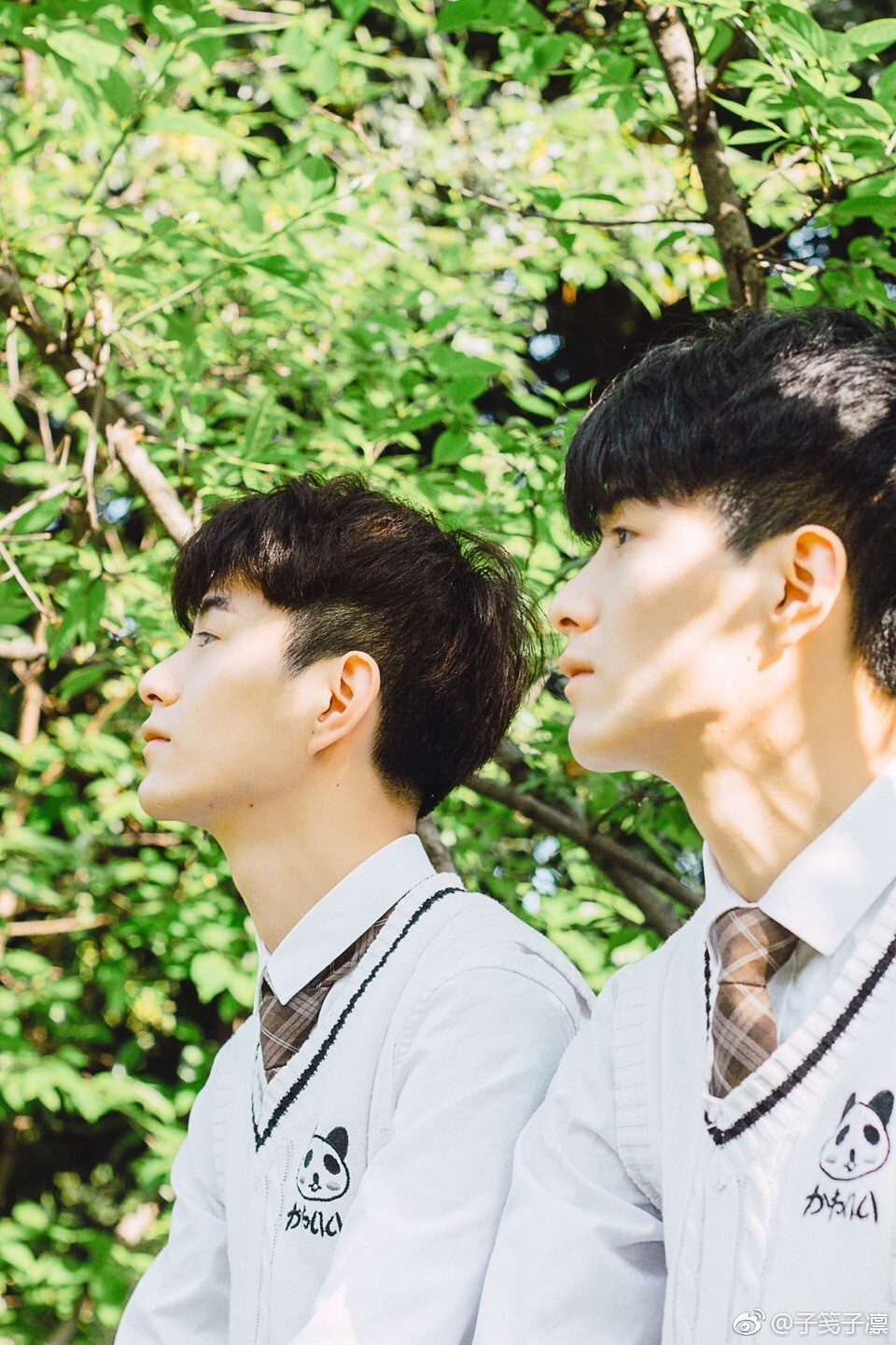 hai anh em sinh doi anh 4