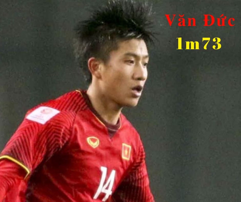 chiều cao các cầu thủ ảnh 16 chieu cao cac cau thu anh 16