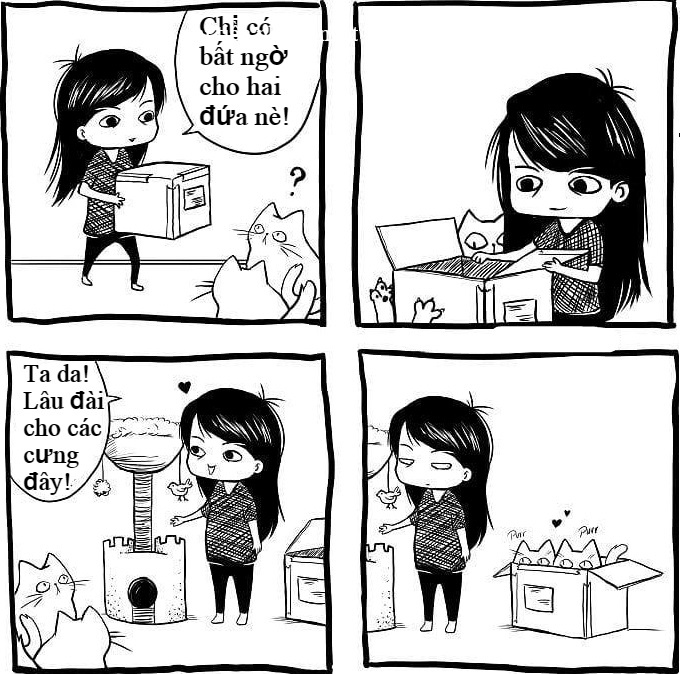 Nỗi khổ của những người nuôi mèo ảnh 3 Noi kho cua nhung nguoi nuoi meo anh 3