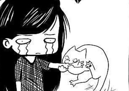 8 noi kho chi nguoi nuoi meo moi hieu hinh anh