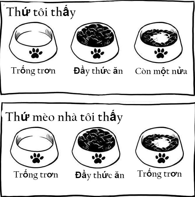 Nỗi khổ của những người nuôi mèo ảnh 8 Noi kho cua nhung nguoi nuoi meo anh 8