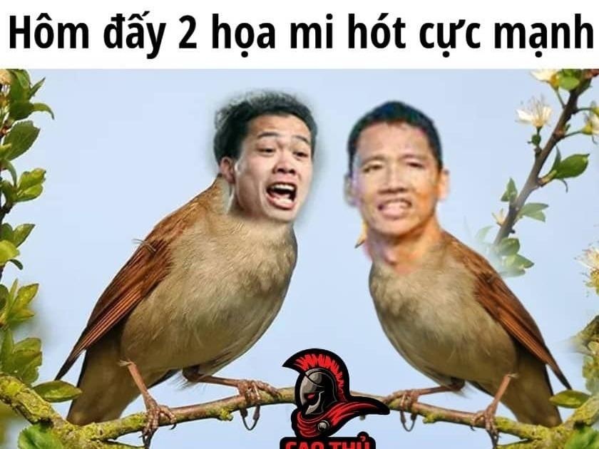 Cong Phuong, Anh Duc 'sang' nhat mang xa hoi sau tran thang Malaysia hinh anh