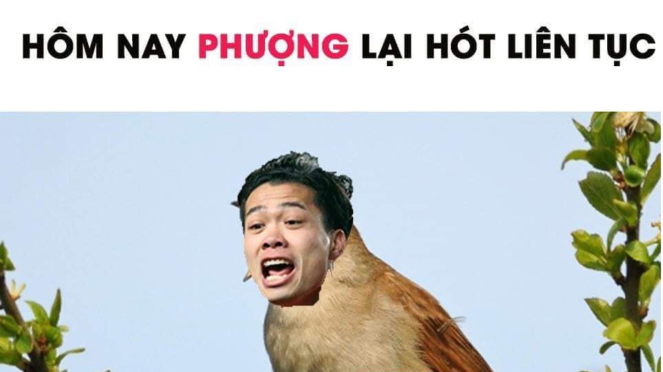 anh che AFF Cup 2018 anh 1