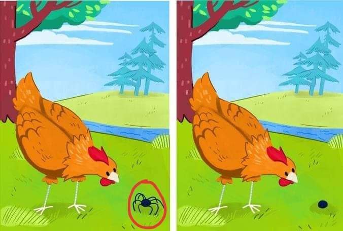 Câu đố tìm điểm khác nhau ảnh 2 Cau do tim diem khac nhau anh 2