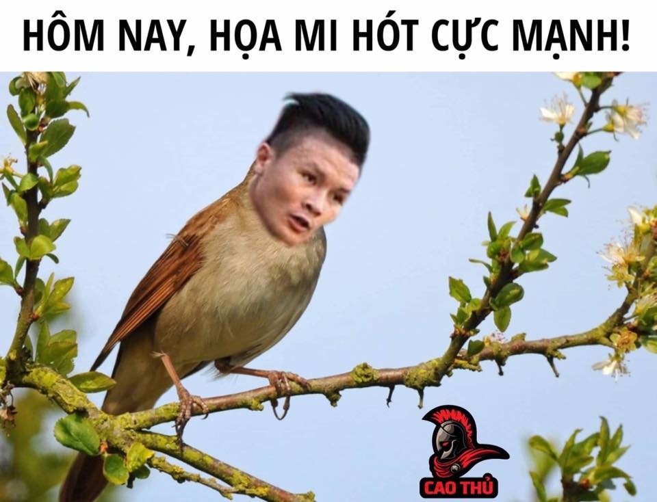 anh che tran viet nam campuchia anh 4