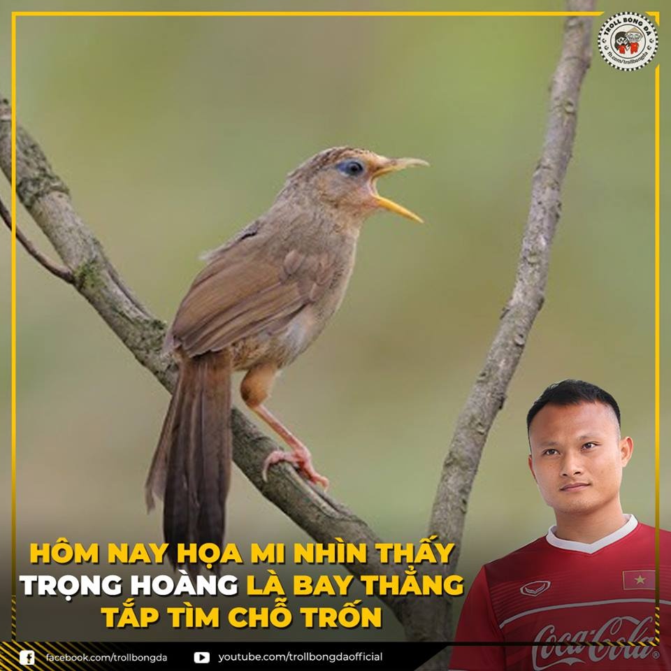 anh che ban ket AFF cup 2018 anh 1