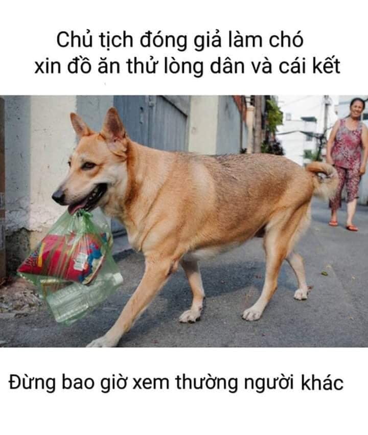 chủ tịch và cái kết ảnh 9 chu tich va cai ket anh 9