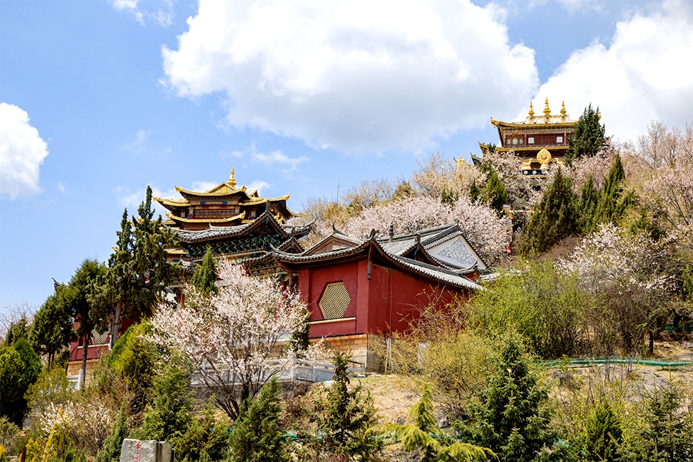 Kham pha nhung diem den hap dan khi toi Le Giang - Shangri-La hinh anh