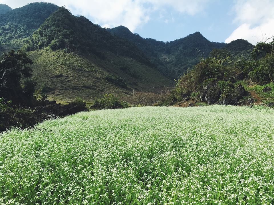 10 dia diem du lich hoang so day suc hap dan anh 6