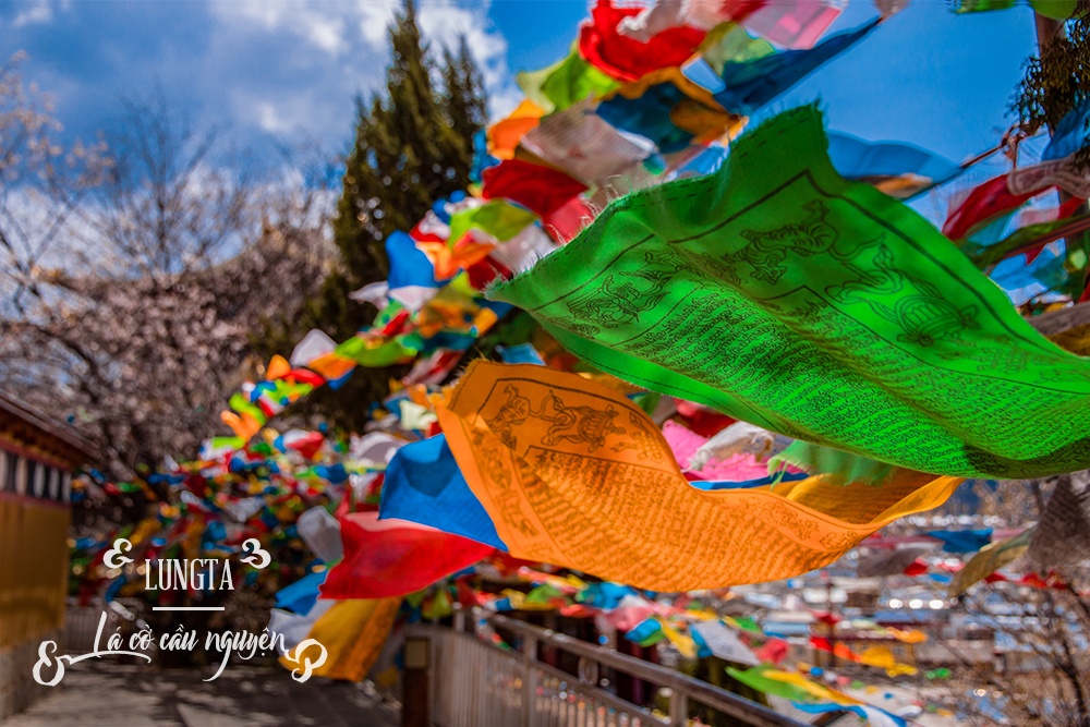 kinh nghiệm phượt khi đến Lệ Giang. ảnh 4 kinh nghiem phuot khi den Le Giang. anh 4