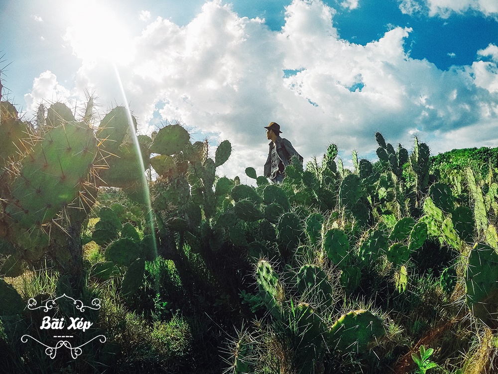 kinh nghiệm đi phượt ở Phú Yên. ảnh 6 kinh nghiem di phuot o Phu Yen. anh 6