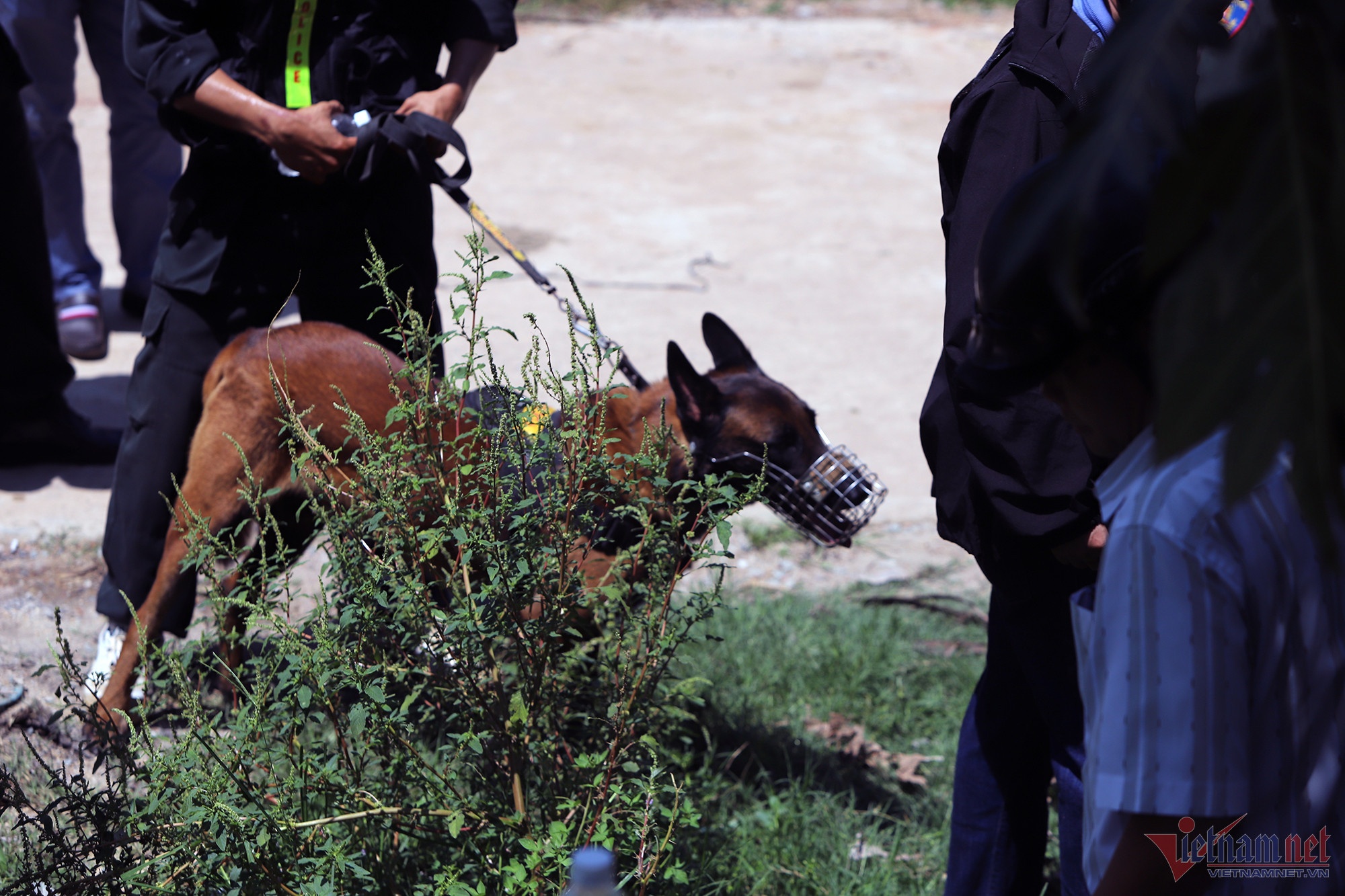 tham an o Khanh Hoa anh 4