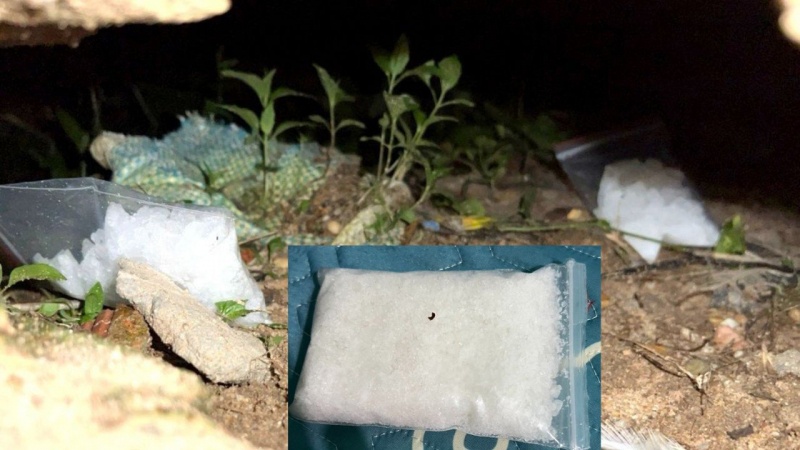 sung dan trong can nha anh 3