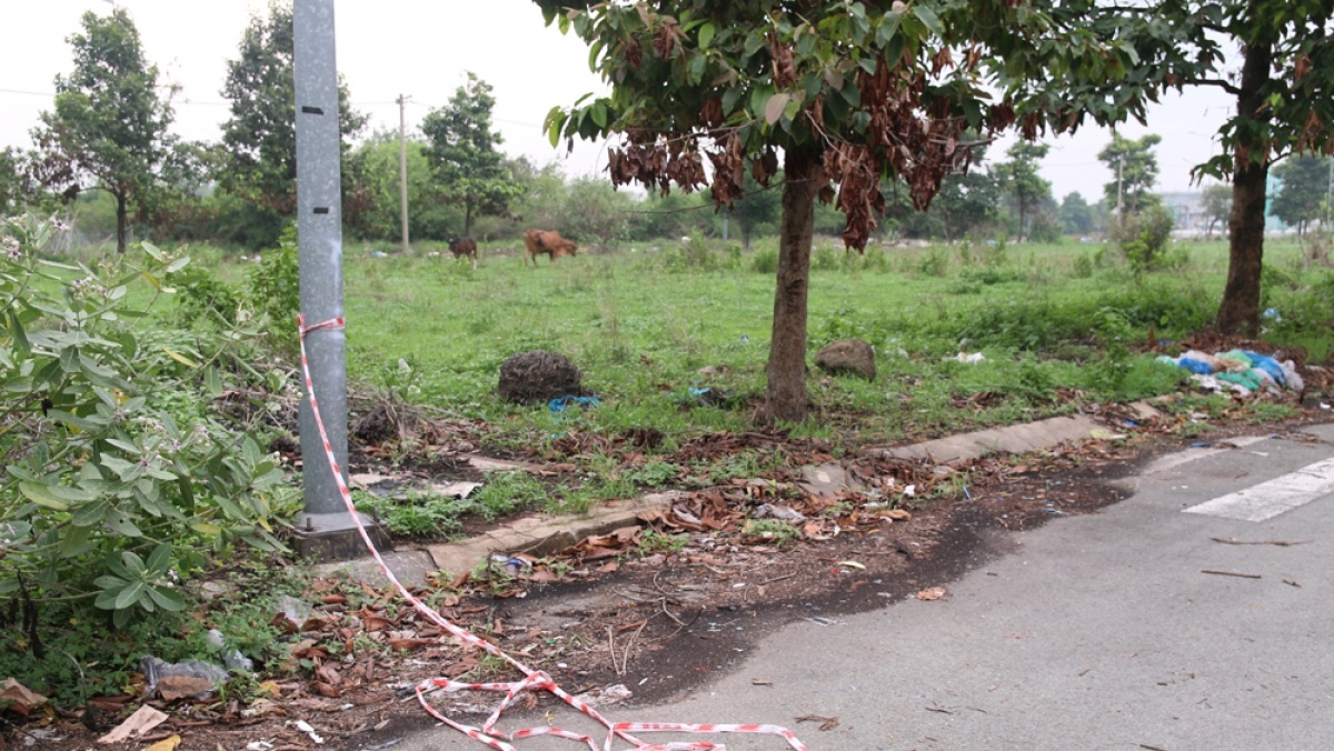 Vu thi the bi dot chay o Binh Duong: Hon 200 tin bao mat tich hinh anh