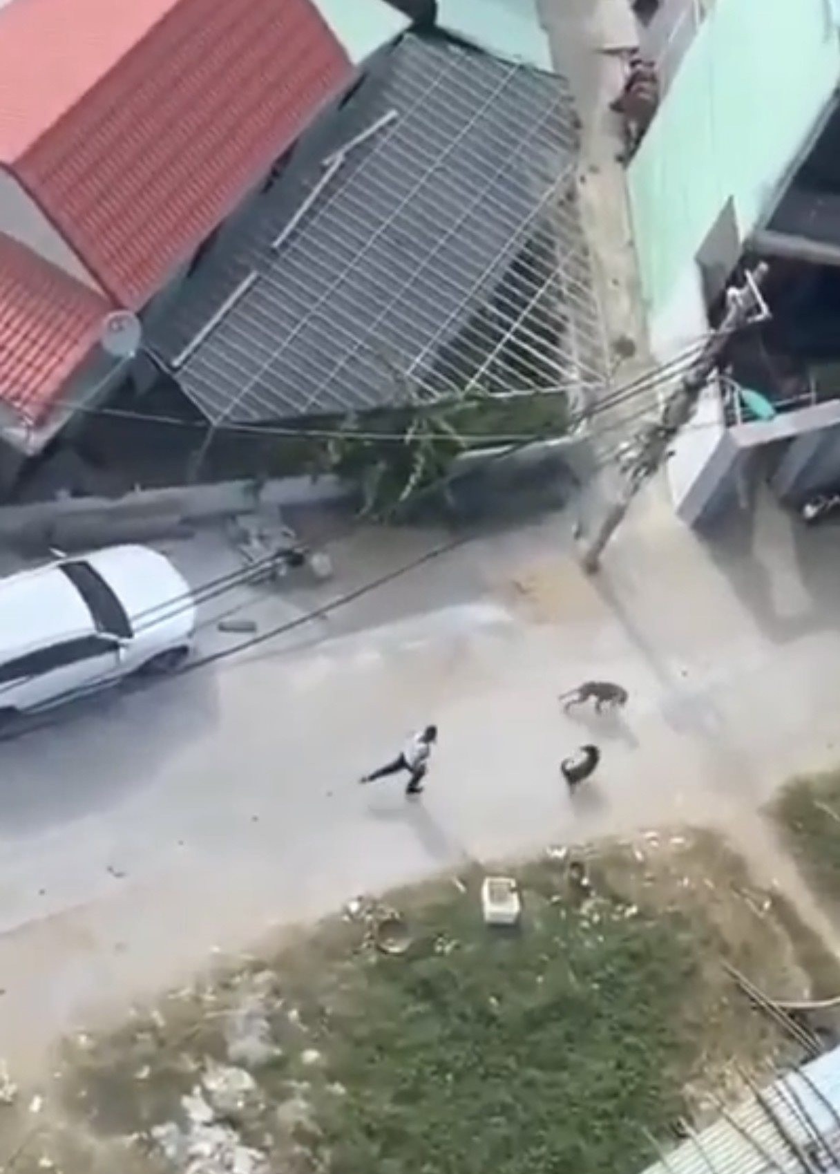 tha cho can hang xom anh 1