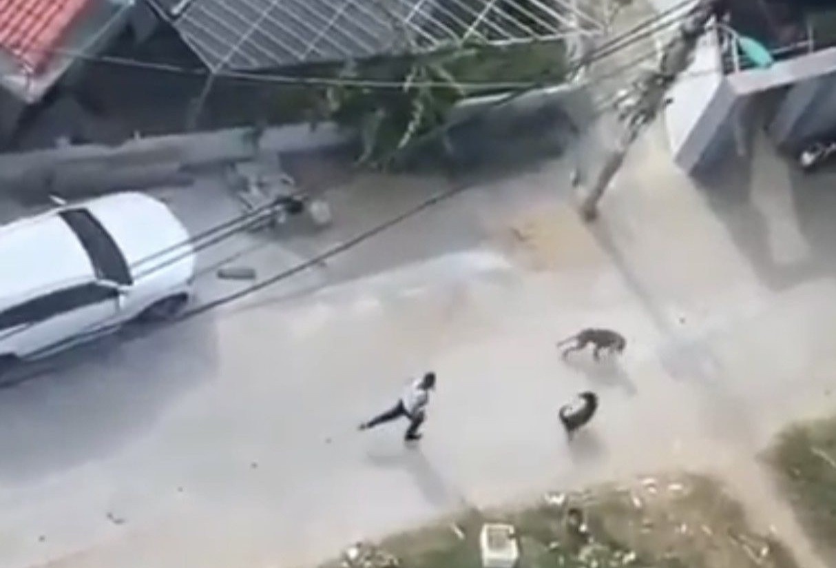 Bi de nghi truy to toi giet nguoi vi tha cho pitbull can hang xom hinh anh