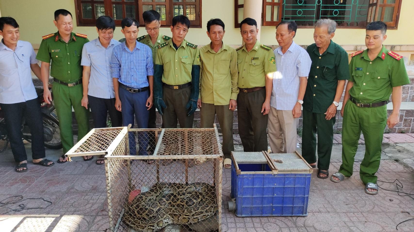 Tran quy bo vao vuon anh 2