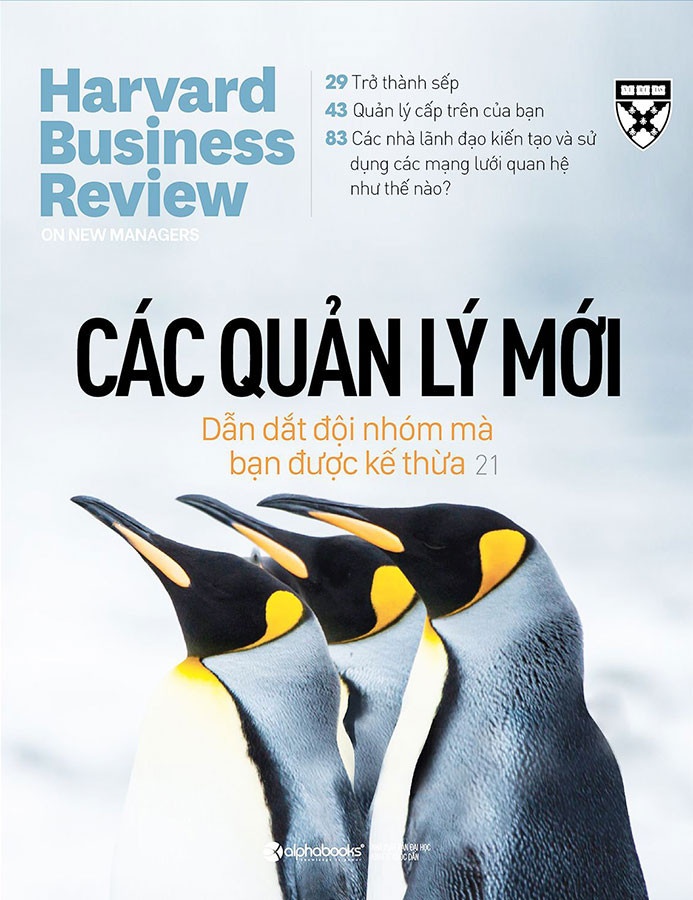 cac nha quan ly moi anh 2