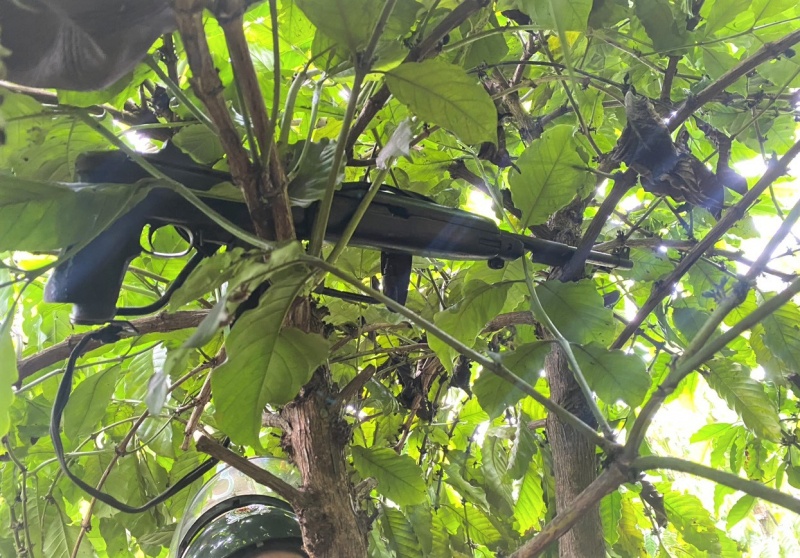 truy bat nhom khung bo anh 7