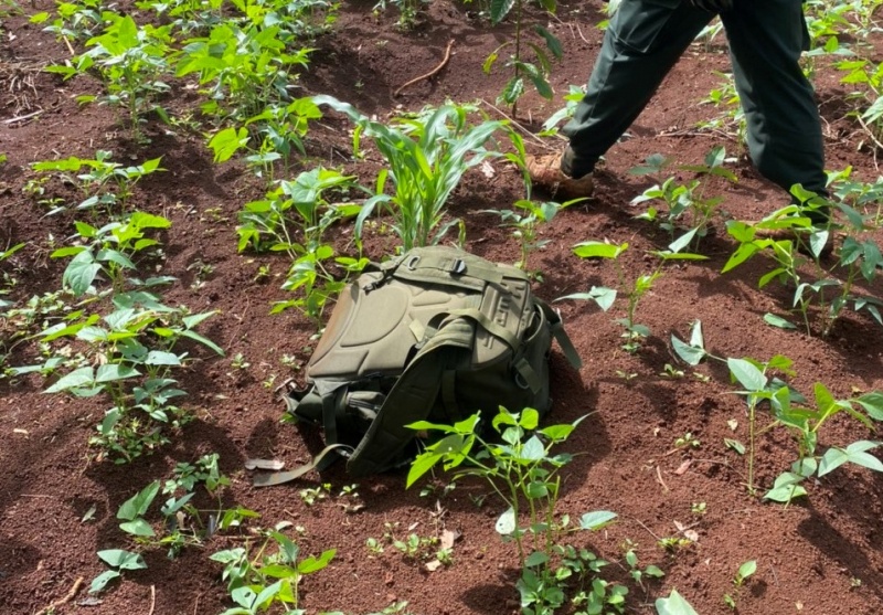 truy bat nhom khung bo anh 9