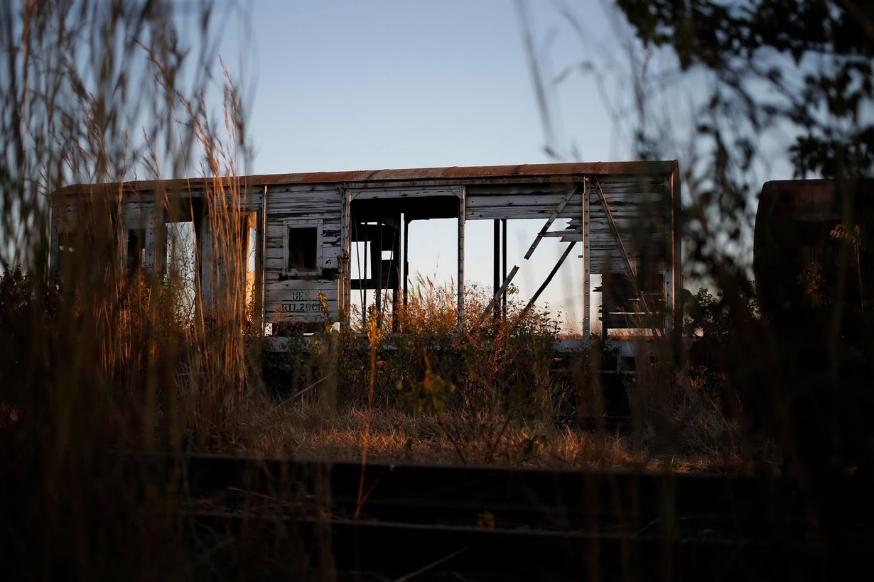 Tau hoa lac hau cua Zimbabwe anh 7