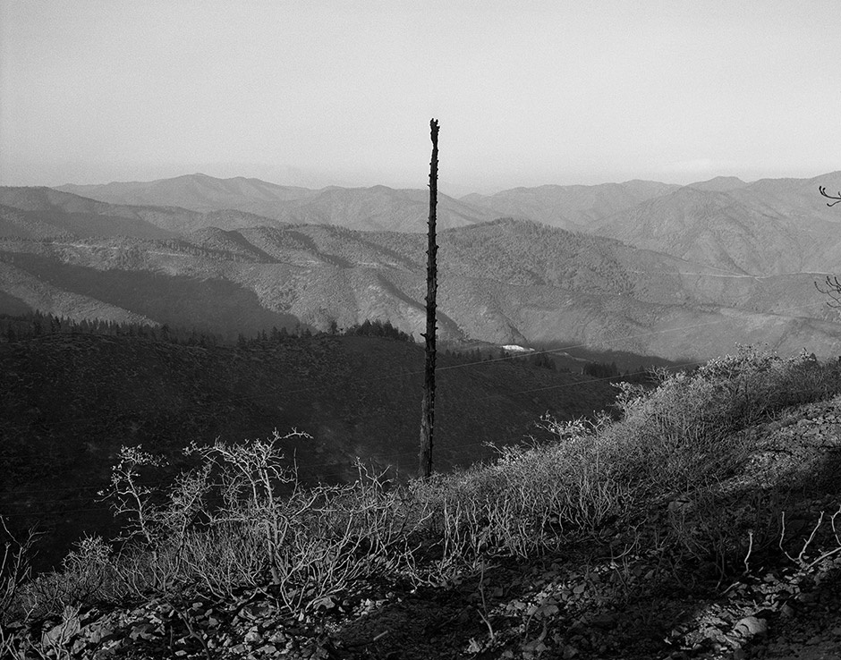 chay rung do bien doi khi hau anh 1