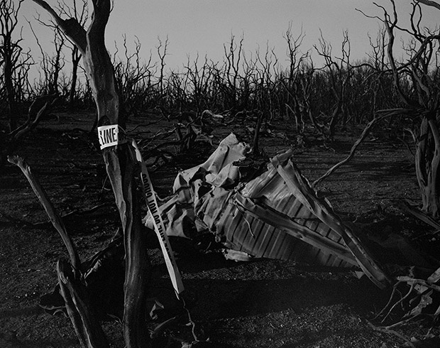 chay rung do bien doi khi hau anh 2