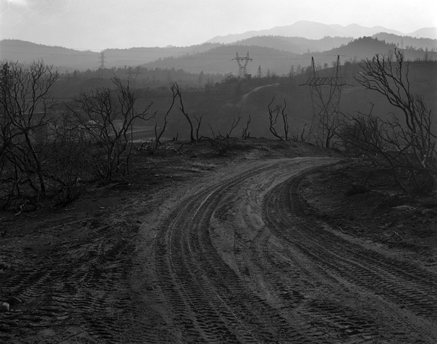 chay rung do bien doi khi hau anh 11