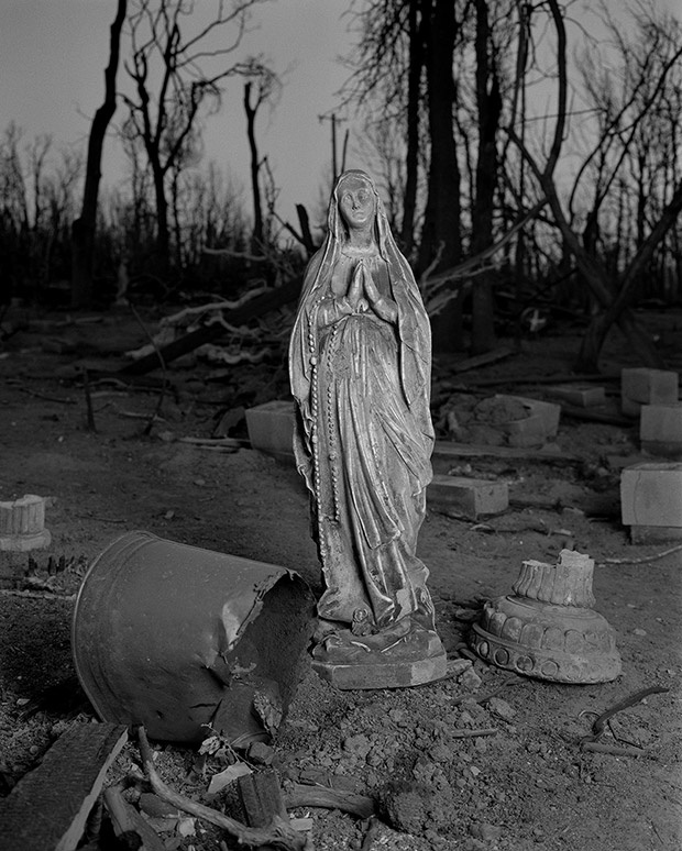 chay rung do bien doi khi hau anh 6