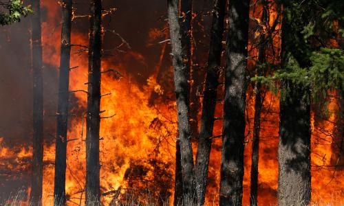 Lua dia nguc - hoi chuong canh bao bien doi khi hau toan cau hinh anh