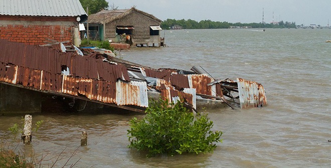 Dau hieu cua bien doi khi hau anh 4