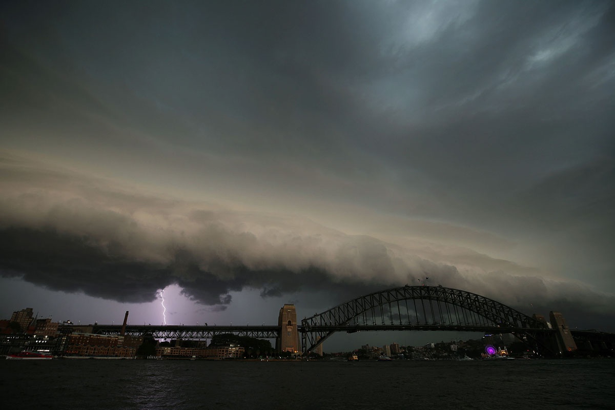 Baby Trump vao top anh tuan anh 4