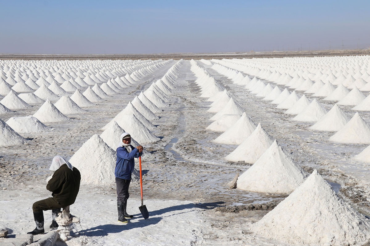 bau cu giua ky My anh 4