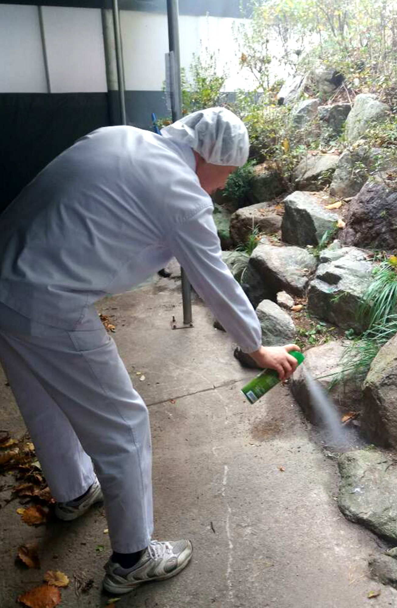 Người Hàn Quốc làm việc đến chết ảnh 1 Nguoi Han Quoc lam viec den chet anh 1