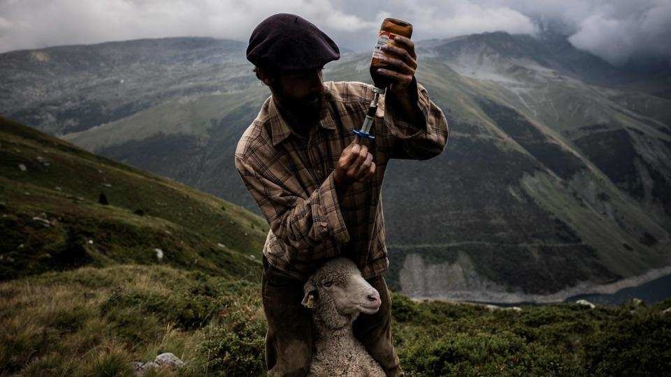 nguoi chan cuu o Phap anh 12