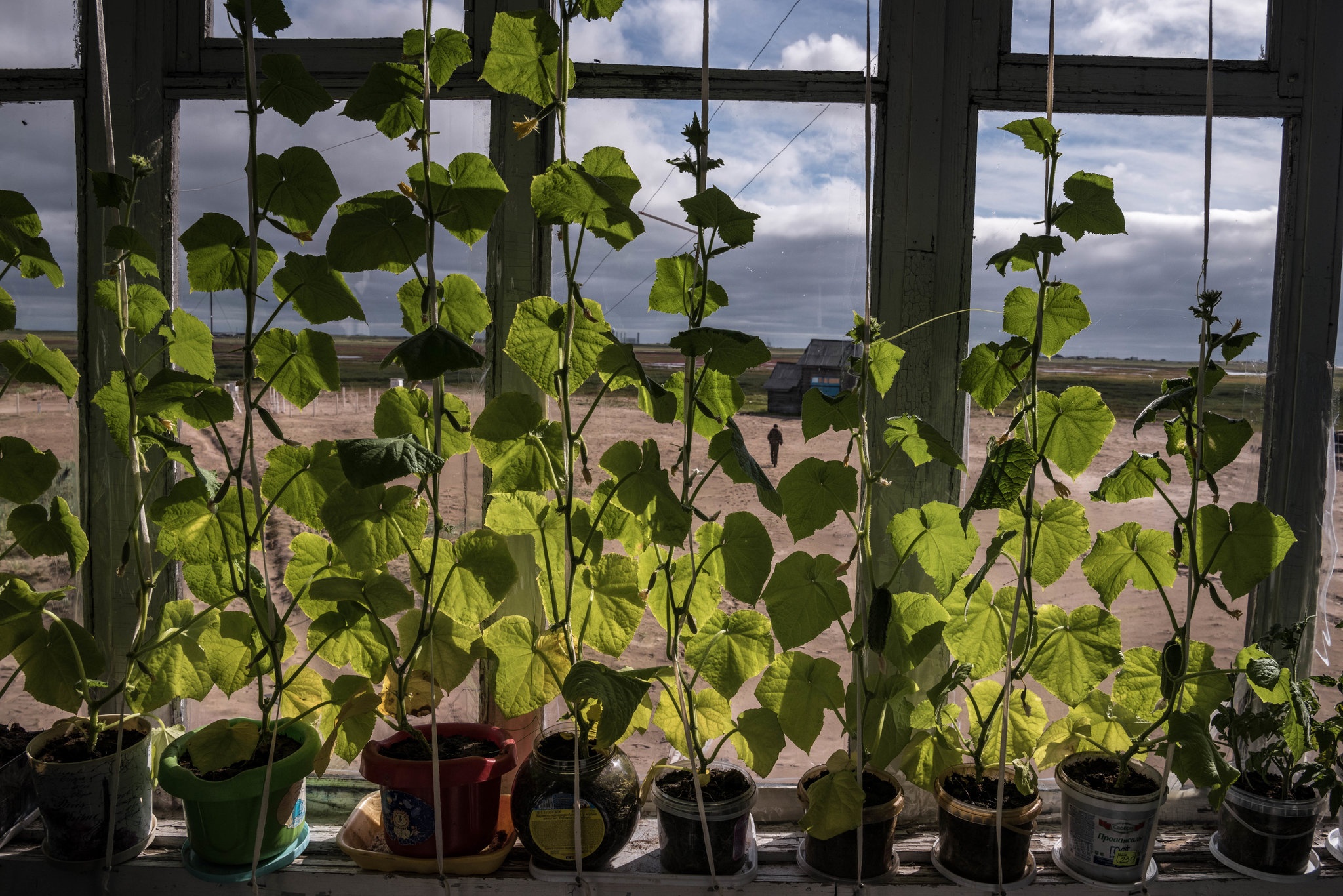 ngoi lang o Nga bi cat nhan chim anh 9