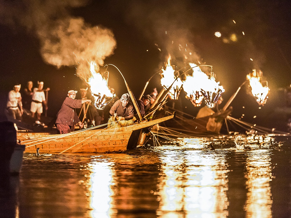 nghe danh ca bang chim coc Nhat Ban anh 1
